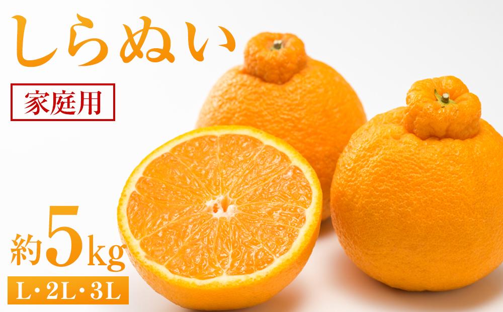 しらぬい 約5kg（家庭用）【2026年2月から発送】【不知火 柑橘 フルーツ 果物 くだもの 食品 人気 おすすめ 広島県 尾道市】