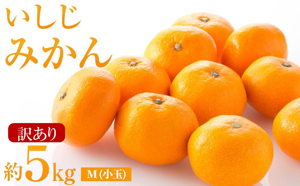 【訳あり】いしじみかん　小玉　5kg