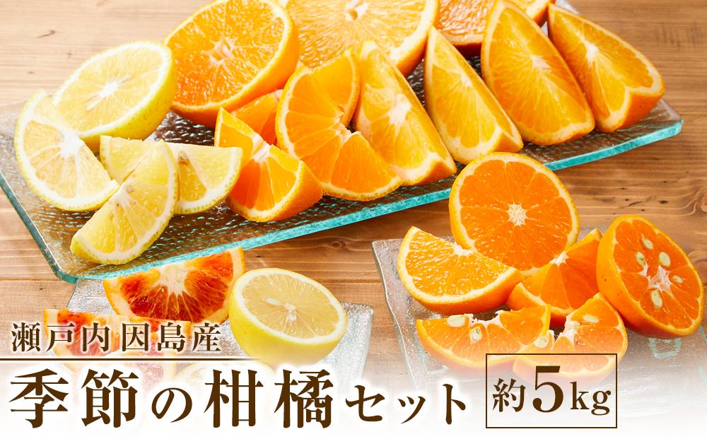季節の柑橘セット約5kg ＜2026年1月下旬から発送＞【フルーツ 果物 くだもの 食品 人気 おすすめ】