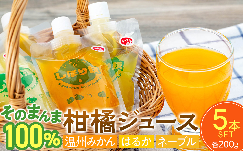 そのまんま100％柑橘ジュース詰合せ5本セット