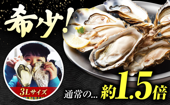貝類 【冷蔵】 うつみかき小町殻付き 3Lサイズ×7個 広島県福山市/カネト海苔水産株式会社 牡蠣 かき 殻付 焼き牡蠣 うつみかき小町 かき小町 [BAAQ006]