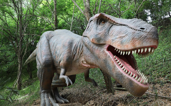 チケット みろくの里フリーパスチケット 1枚 チケット 体験 フリーパス 遊園地 昭和 イルミネーション プール 広島県福山市/ツネイシLR株式会社 [BABG001]