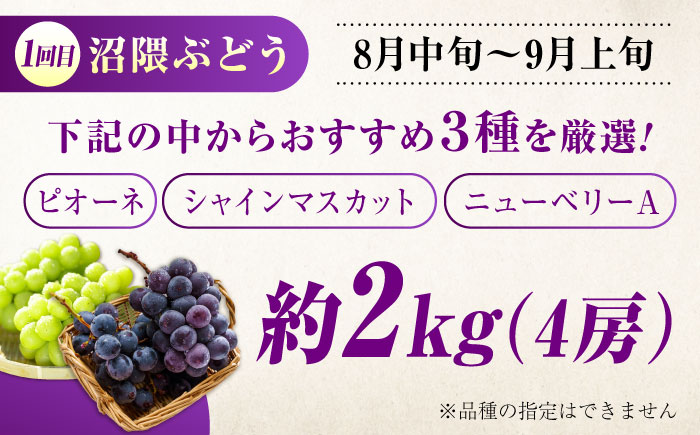 【びんご圏域連携】【全3回定期便 先行予約】 フルーツ 定期便 フルーツ定期便 （沼隈ぶどう・世羅なし・竹原キャンベル） 広島県福山市/一般社団法人世羅町観光協会 フルーツ 定期便 ぶどう 葡萄 なし 梨 ジュース ゼリー 果物 くだもの