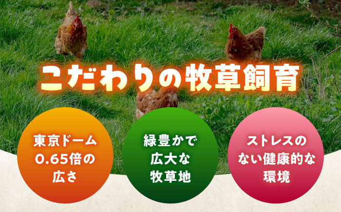 天心山 たまご 60個（10個入り×6パック） 卵 たまご 高級 食品 たまごかけご飯 卵かけご飯 卵焼き 生卵 濃厚 ケーキ お菓子 づくり ランキング 上位 人気 おすすめ 　広島県福山市/天心山ファーム [BABW016]