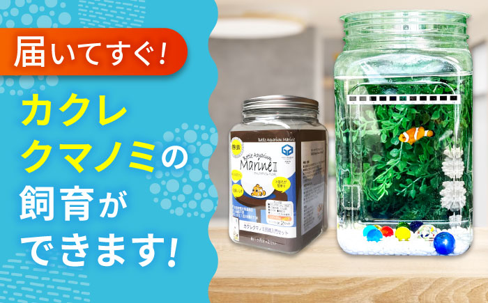 水槽 カクレクマノミ 飼育セット ボトルアクアリウムマリン2（キットのみ） 水槽 自由研究 ペット  安全な人工海水 広島県福山市/株式会社ウォーターエンジニアリング [BACD002]