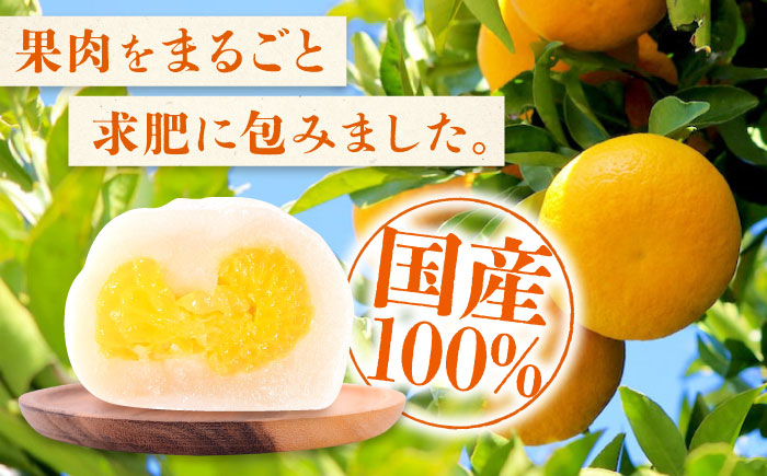 【全3回定期便】お菓子 はっさく大福20個入　 お菓子 大福 八朔 柑橘 みかん オレンジ 餅 ギフト お取り寄せ スイーツ フルーツ大福 ご当地 菓子 おかし デザート 食品 人気 おすすめ 広島県福山市/株式会社虎屋本舗 [BADH030]