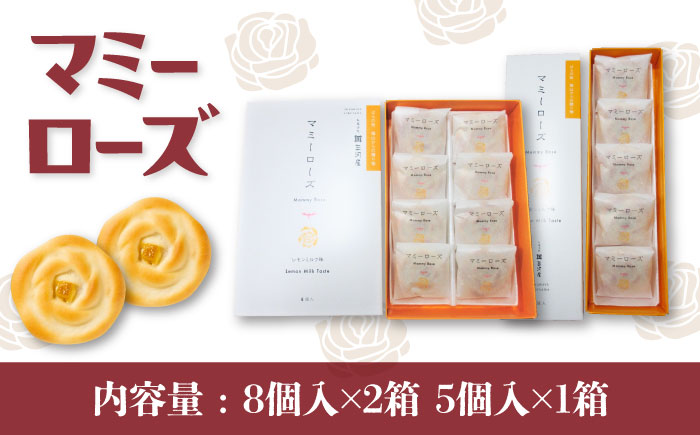 和菓子 マミーローズ 3箱セット（8個入×2箱・5個入×1箱） 広島県福山市/株式会社三河屋 まんじゅう 饅頭 お菓子 菓子 洋菓子 個包装 [BADJ004]
