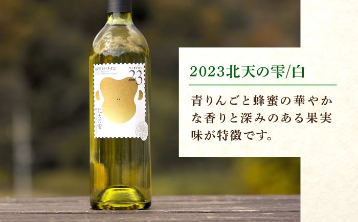 山野峡ワイン2023北天の雫 広島県福山市/株式会社福山健康舎(山野峡大田ワイナリー) 山野峡ワイン 福山 広島 ワイン 福山市 ぶどう ワイナリー [BADO009]