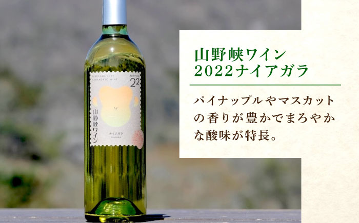 山野峡ワイン2022ナイアガラ 広島県福山市/株式会社福山健康舎（山野峡大田ワイナリー）　山野峡ワイン 福山 広島 ワイン 福山市 ぶどう ワイナリー [BADO011]