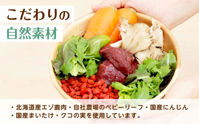 フレッシュフード《しあわせのキューブ》 ドッグフード 犬 低アレルゲン 鹿肉 シニア犬 食欲不振 肥満 鉄分 トッピング 冷凍　広島県福山市/寺岡有機醸造株式会社 [BADT046]