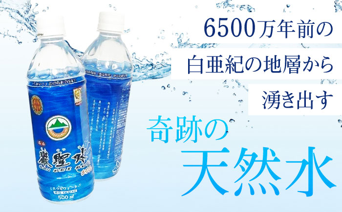 飲料 水 ミネラルウォーター 巌聖水6500 500ml×24本 広島県福山市/小林商事 ミネラルウォーター ペットボトル 500ml 24本 保存用 備蓄 防災 [BAEA012]