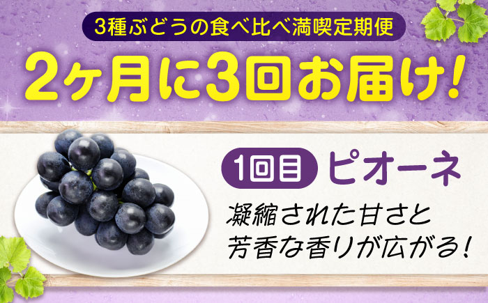 【全3回定期便】期間限定 贅沢3種の沼隈ぶどう定期便 各2kg (ピオーネ シャインマスカット ニューベリーA) 広島県福山市/福山市農業協同組合　沼隈グリーンセンター 種なし 大粒 [BAEV003]