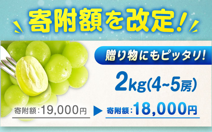 数量限定/9月上旬～9月下旬頃発送 沼隈ぶどう シャインマスカット 約2kg(4～5房) 広島県福山市/福山市農業協同組合　沼隈グリーンセンター ぶどう ブドウ 葡萄 種なし 大粒 マスカット[BAEV004]