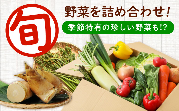 愛菜連のおまかせ野菜パック（４人用）野菜詰合せ 旬 旬の野菜 野菜セット 産地直送 ミネラル ビタミン 豊富　広島県福山市/マルフク株式会社 [BAFW001]