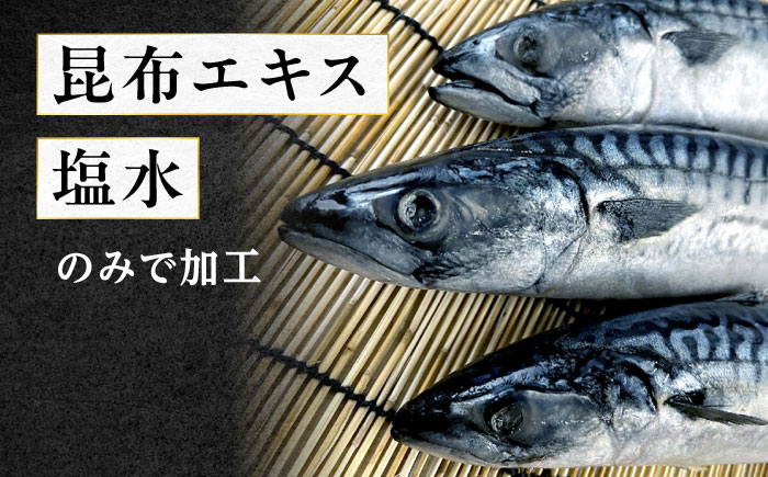 塩サバ 別格昆布塩さばフィレ 3kg 広島県福山市/丸大水産株式会社 鯖 サバ さば 切り身 冷凍 [BAGB001]