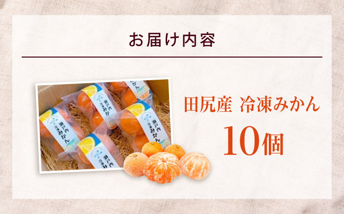 みかん 田尻産 冷凍みかん 10個 みかん 冷凍 温州みかん 柑橘 広島産 完熟 高糖度 スイーツ デザート ヘルシー 広島県福山市/たかはし農園 [BAGS002]