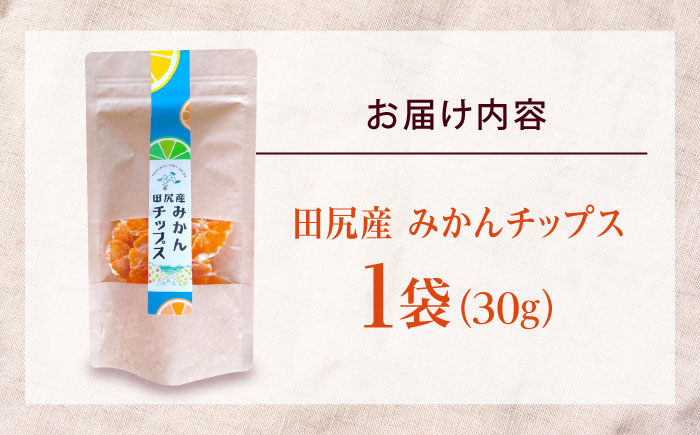 みかん 田尻産 みかんチップス 1袋 みかん 温州みかん 柑橘 完熟 ドライフルーツ ヘルシー おやつ スナック 菓子 広島県福山市/たかはし農園 [BAGS003]