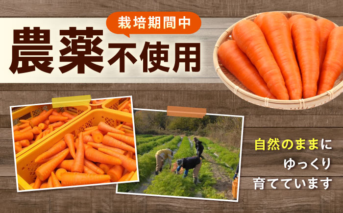 人参 10kg 人参 にんじん 野菜 やさい 旬の野菜 旬 季節 新鮮 採れたて 広島県福山市/しもみん農場 [BAGT004]