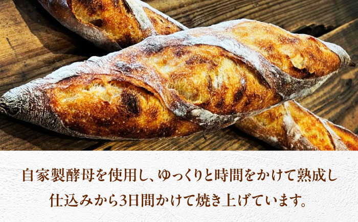 パン こだわりパン7個（おまかせ）セット Fujiwara/広島県福山市 全粒粉 バゲット 食パン クロワッサン 食品 加工食品 人気 おすすめ ベーカリー おまかせ [BAAB001]