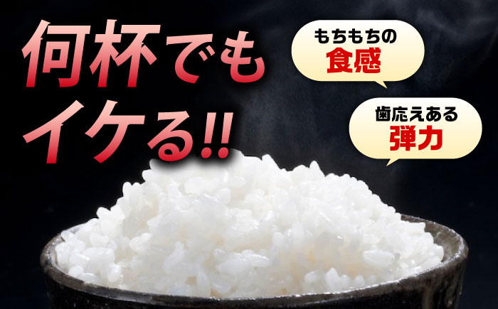 令和7年産 米 法成米 5kg 1箱 広島県福山市/イトモス株式会社 ヒノヒカリ お米 こめ コメ ひのひかり ヒノヒカリ 白米 食品 5kg 塩まき農法 [BAAL001]