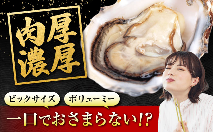 貝類 【冷蔵】 うつみかき小町殻付き 3Lサイズ×7個 広島県福山市/カネト海苔水産株式会社 牡蠣 かき 殻付 焼き牡蠣 うつみかき小町 かき小町 [BAAQ006]