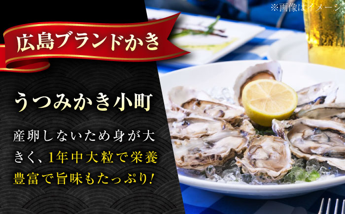夏も冬もおいしい！厳選！広島産かき〈Mサイズ20個〉年中うまい！丹精込めた「うつみかき小町」（殻付き）」【かき小町 牡蠣 カキ 殻付 焼き牡蠣バーベキュー蒸し牡蠣 魚介 海産物】広島県福山市/カネト海苔水産株式会社 [BAAQ008]