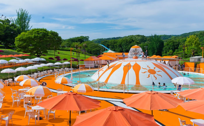 チケット みろくの里フリーパスチケット 1枚 チケット 体験 フリーパス 遊園地 昭和 イルミネーション プール 広島県福山市/ツネイシLR株式会社 [BABG001]