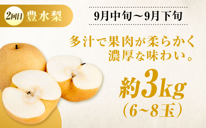 【びんご圏域連携】【全3回定期便 先行予約】 フルーツ 定期便 フルーツ定期便 （沼隈ぶどう・世羅なし・竹原キャンベル） 広島県福山市/一般社団法人世羅町観光協会 フルーツ 定期便 ぶどう 葡萄 なし 梨 ジュース ゼリー 果物 くだもの