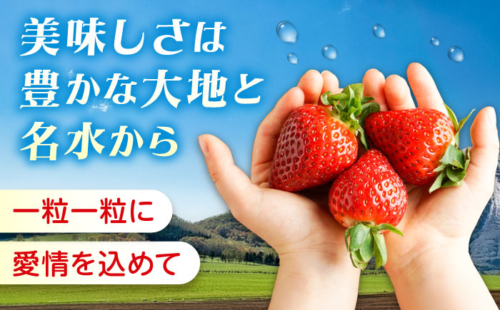 苺 紅ほっぺ 200g×4パック 国産 完熟 スムージー ジャム ヨーグルト 一口サイズ イチゴ 完熟 苺 果物 フルーツ 冷凍 広島県福山市/株式会社ベジータ [BABR002]