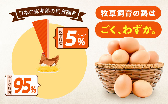 【全3回定期便】天心山 たまご 10個入り×1パック 卵 たまご 高級 食品 たまごかけご飯 卵かけご飯 卵焼き 生卵 濃厚 ケーキ お菓子 づくり ランキング 上位 人気 おすすめ 定期便　広島県福山市/天心山ファーム [BABW022]