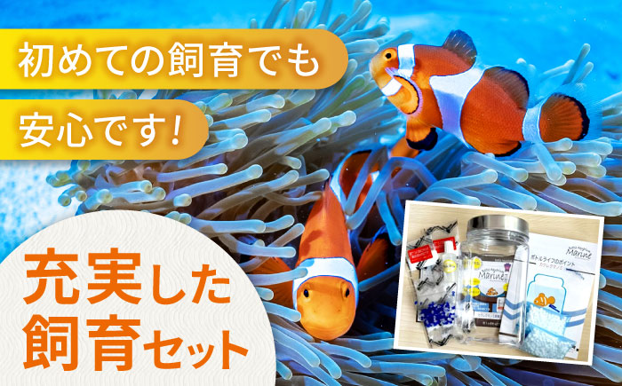 水槽 カクレクマノミ 飼育セット ボトルアクアリウムマリン2（キットのみ） 水槽 自由研究 ペット  安全な人工海水 広島県福山市/株式会社ウォーターエンジニアリング [BACD002]