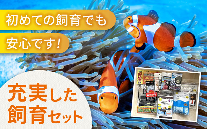 水槽 カクレクマノミ飼育セット（1ヶ月死亡補償付き）ボトルアクアリウムマリン2 水槽 魚 自由研究 ペット 観賞魚  安全な人工海水 広島県福山市/株式会社ウォーターエンジニアリング [BACD003]