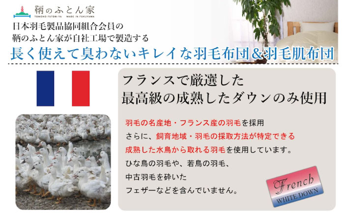 【ブルー系】羽毛布団 超軽量 柄任せ 綿100% 羽毛布団 シングル 掛け布団 羽毛布団 羽毛 日本製 冬 毛布 保温 あったかい 抗菌 防臭 広島県福山市/株式会社ハシモト [BACV018]