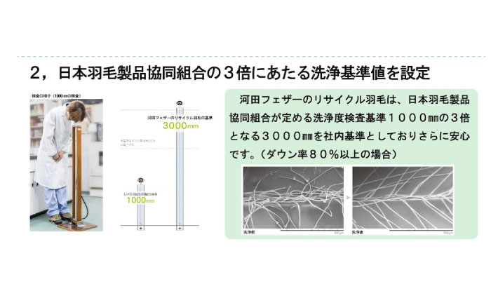 羽毛布団 綺麗なリサイクルダウン 羽毛布団 シングル 掛け布団 肌掛け布団 羽毛 日本製 冬 毛布 保温 あったかい 抗菌 防臭 広島県福山市/株式会社ハシモト [BACV020]