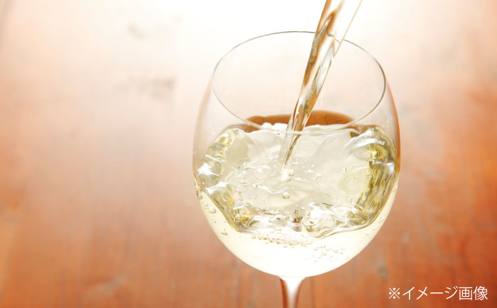 山野峡ワイン2022ナイアガラ 広島県福山市/株式会社福山健康舎（山野峡大田ワイナリー）　山野峡ワイン 福山 広島 ワイン 福山市 ぶどう ワイナリー [BADO011]