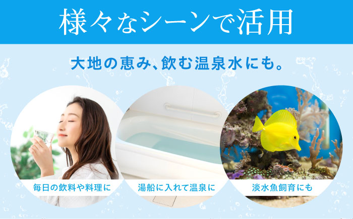 飲料 水 ミネラルウォーター 巌聖水6500 500ml×24本 広島県福山市/小林商事 ミネラルウォーター ペットボトル 500ml 24本 保存用 備蓄 防災 [BAEA012]
