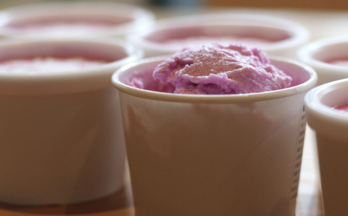 アイス 沼南ミルクジェラート 赤しそ ６個 アイス アイスクリーム デザート スイーツ ご当地 広島県福山市/甚ごろう [BAEC004]