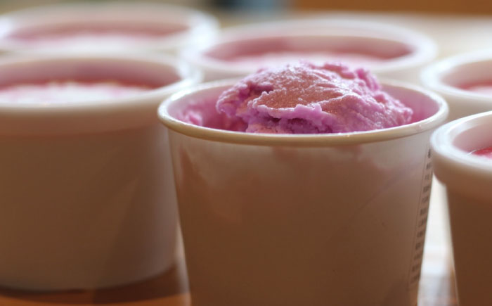 【全3回定期便】沼南ミルクジェラート 赤しそ ６個　アイス  赤しそ  アイス アイスクリーム デザート スイーツ ご当地 広島県福山市/甚ごろう [BAEC039]