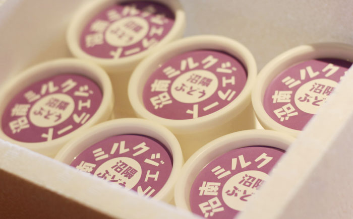 【全3回定期便】沼南ミルクジェラート 沼隈ぶどう ６個　アイス  ぶどう  アイス アイスクリーム デザート スイーツ ご当地 広島県福山市/甚ごろう [BAEC042]