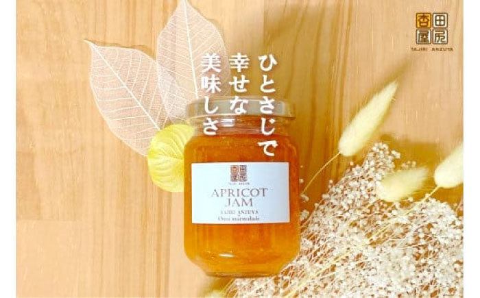 ジャム 田尻あんずのアプリコットジャム 120g 3個入り 広島県福山市/田尻杏屋 あんず アプリコット 杏 フルーツ 果物 [BAEK001]