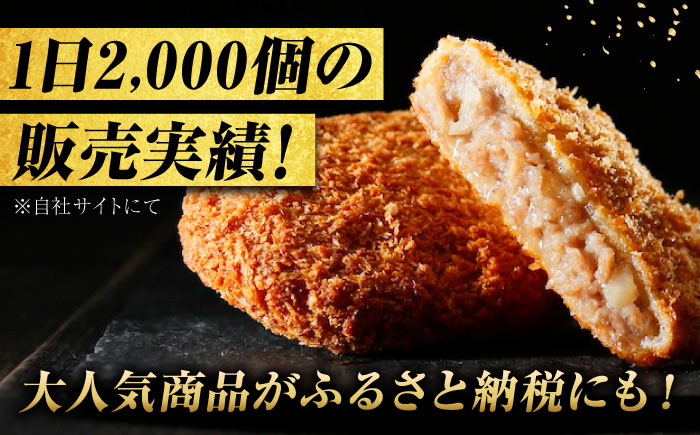 【スピード/年内発送】冷凍 肉 ミンチカツ（5個）と塩で食べるハンバーグステーキ（2個） 広島県福山市/有限会社池口精肉店  メンチカツ 和牛 おかず セット [BAFK014]