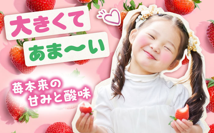 【2026年1月以降順次発送】先行予約　果物 【冷蔵】 こだわりの紅ほっぺ 280g 4パック 広島県福山市/立花いちご農園 いちご 苺 イチゴ 紅ほっぺ フルーツ 産地直送 [BAFN001]