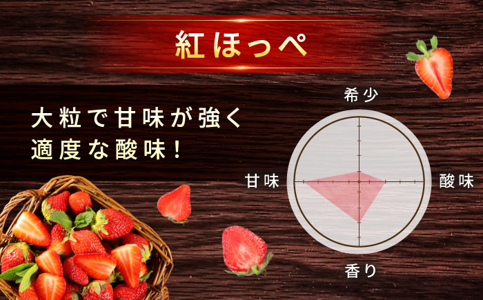 苺 「もういっこ・紅ほっぺ」200ｇ×4パックセット 広島県福山市/1515農園 もういっこ 紅ほっぺ いちご イチゴ セット　 [BAGD001]