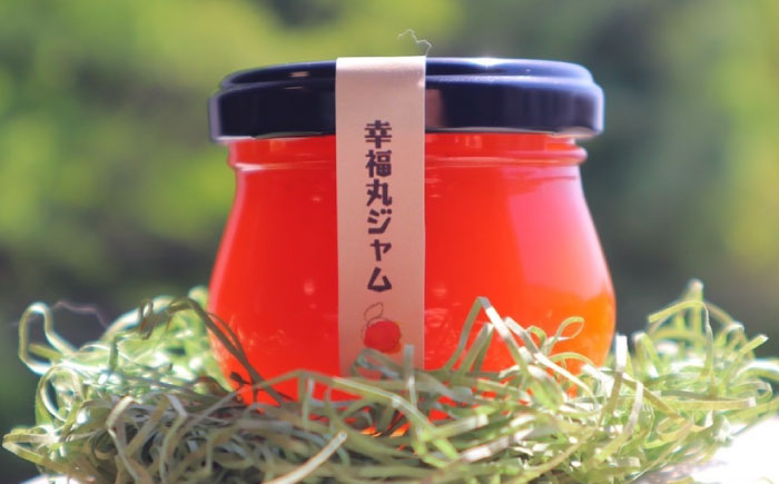 瀬戸内あんずセット（瀬戸内あんずジャム1個＋瀬戸内あんずゼリー3個）あんず 杏 幸福丸 ゼリー ジャム セット 瀬戸内 杏ゼリー 洋菓子 スイーツ お菓子 広島県福山市/たかはし農園 [BAGS001]