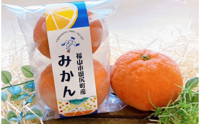 みかん 田尻産 冷凍みかん 10個 みかん 冷凍 温州みかん 柑橘 広島産 完熟 高糖度 スイーツ デザート ヘルシー 広島県福山市/たかはし農園 [BAGS002]