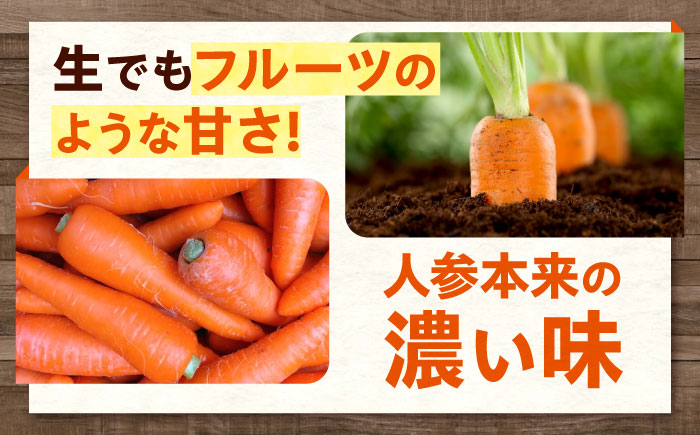 人参 1kg 人参 にんじん 野菜 やさい 旬の野菜 旬 季節 新鮮 採れたて 広島県福山市/しもみん農場 [BAGT002]