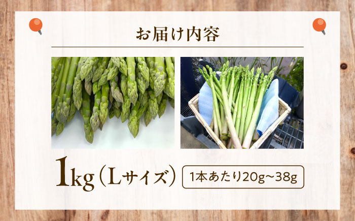 アスパラガス 1kg 広島県福山市/稲葉ライスセンター ふるさと納税 アスパラ 1kg 令和8年産 送料無料 野菜 アスパラ ふるさと納税 アスパラガス 広島県産 産地直送 [BAHB001]