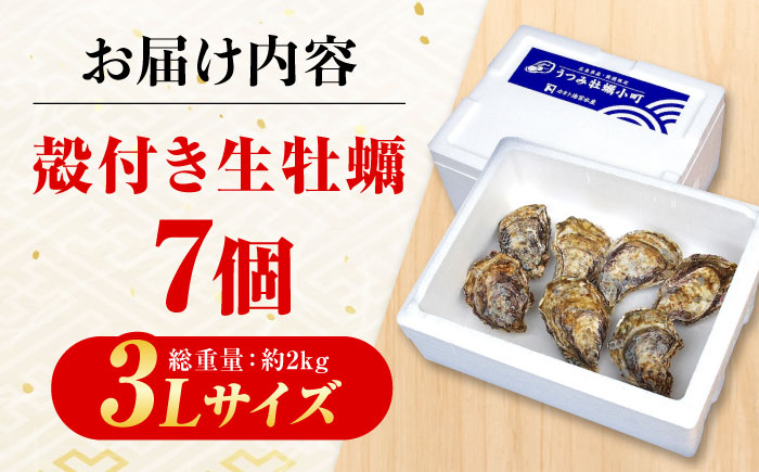 貝類 【冷蔵】 うつみかき小町殻付き 3Lサイズ×7個 広島県福山市/カネト海苔水産株式会社 牡蠣 かき 殻付 焼き牡蠣 うつみかき小町 かき小町 [BAAQ006]