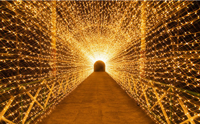 チケット みろくの里フリーパスチケット 1枚 チケット 体験 フリーパス 遊園地 昭和 イルミネーション プール 広島県福山市/ツネイシLR株式会社 [BABG001]