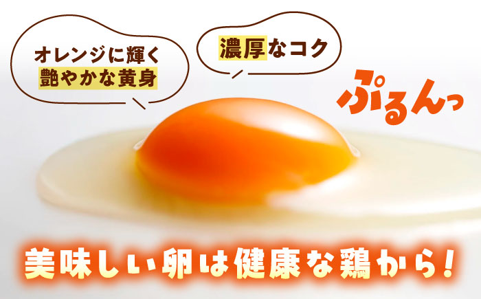 天心山 たまご 40個（10個入り×4パック） 卵 たまご 高級 食品 たまごかけご飯 卵かけご飯 卵焼き 生卵 濃厚 ケーキ お菓子 づくり ランキング 上位 人気 おすすめ 　広島県福山市/天心山ファーム [BABW014]